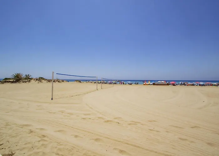 Playa Arenal Grupo Terra De Mar Apartment